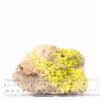 SULFUR ON MATRIX MINERAL SPECIMEN - Image 2